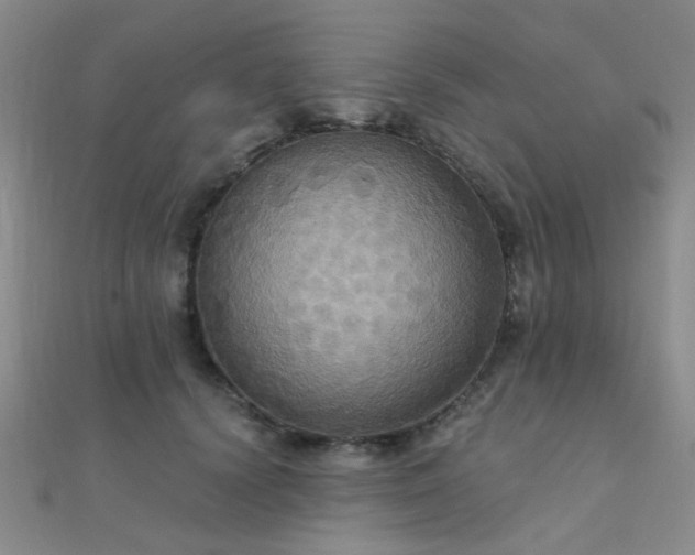 X0000112030656200908101340