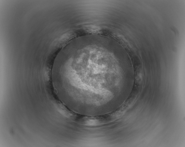 X0000112030658200908101340