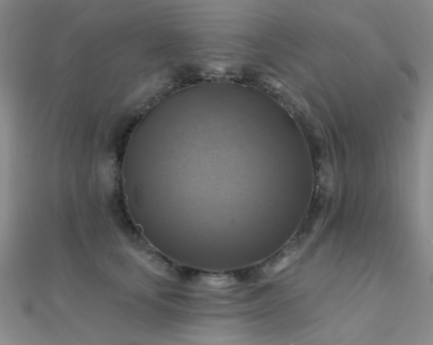 X0000112030659200908101340