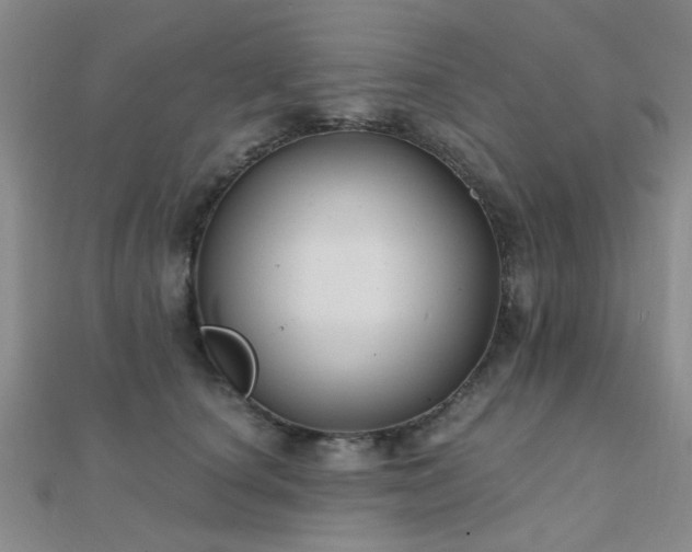 X0000112030660200908101340