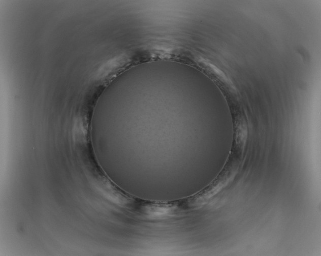 X0000112030661200908101340