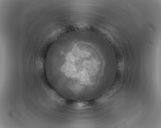 X0000112030662200908101340