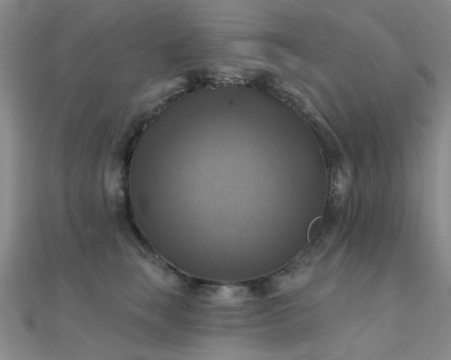 X0000112030663200908101340