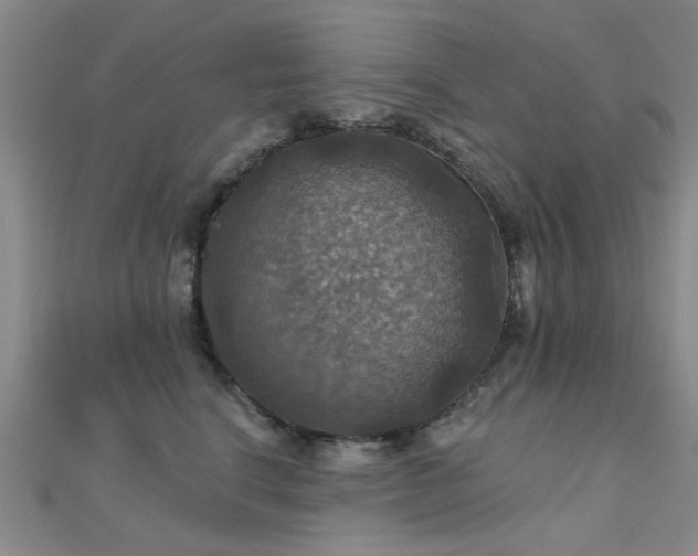 X0000112030664200908101340