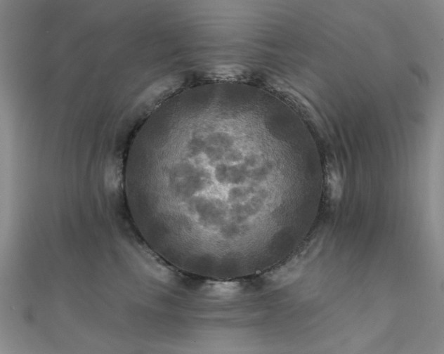 X0000112030665200908101340