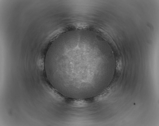 X0000112030666200908101340