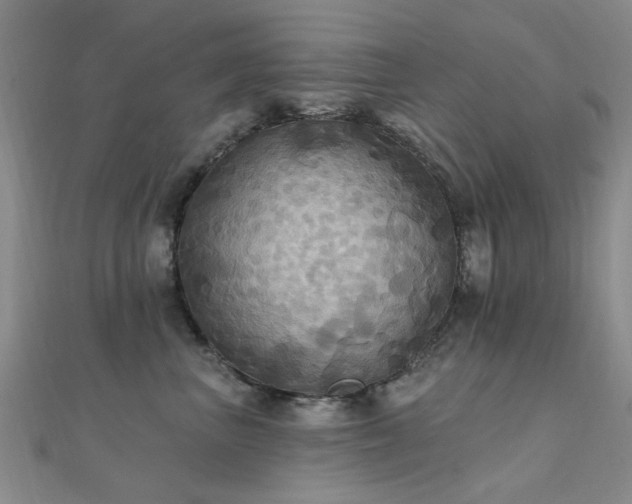X0000112030667200908101340