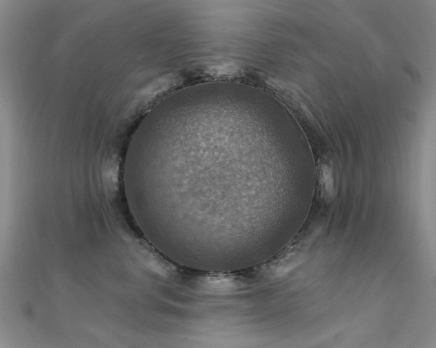 X0000112030668200908101340