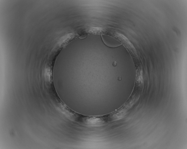 X0000112030669200908101340