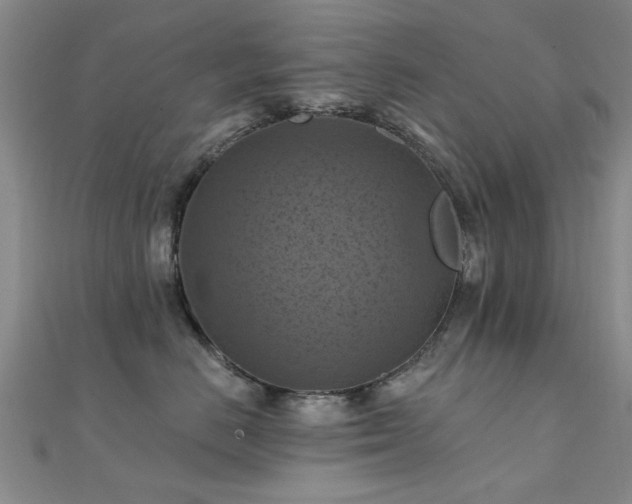 X0000112030670200908101340