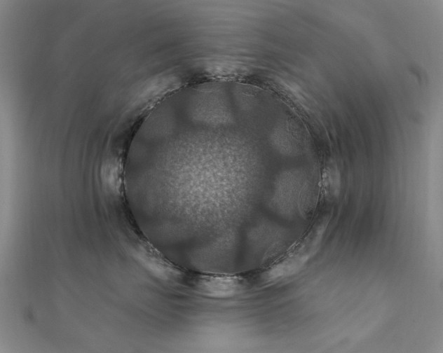 X0000112030671200908101340