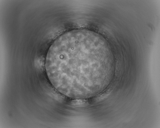 X0000112030672200908101340