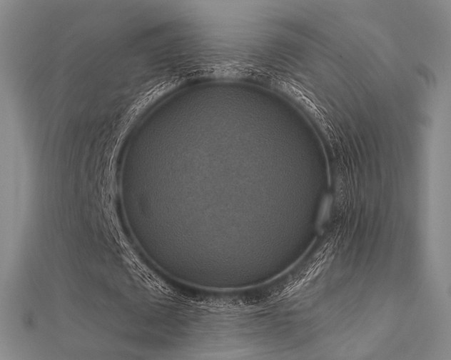 X0000112030673200908101339