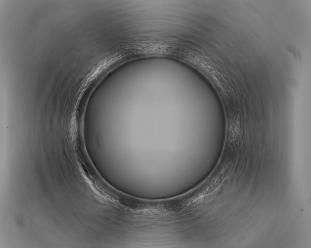 X0000112030674200908101339