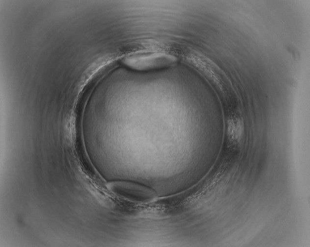 X0000112030676200908101339
