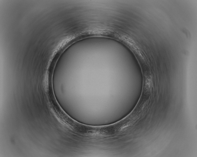 X0000112030678200908101339