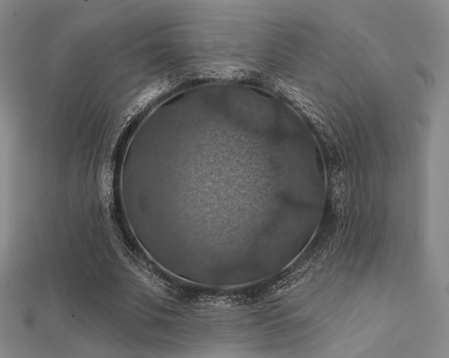 X0000112030679200908101339