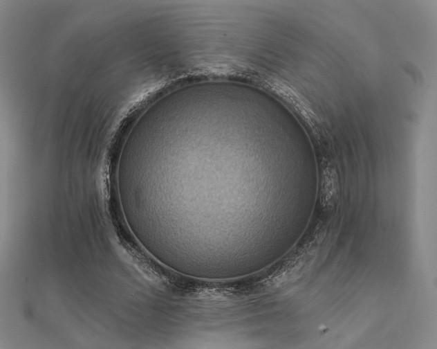 X0000112030680200908101339