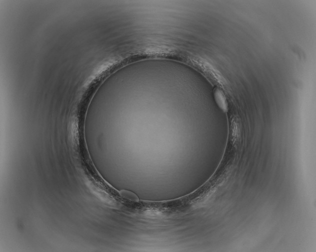 X0000112030684200908101339