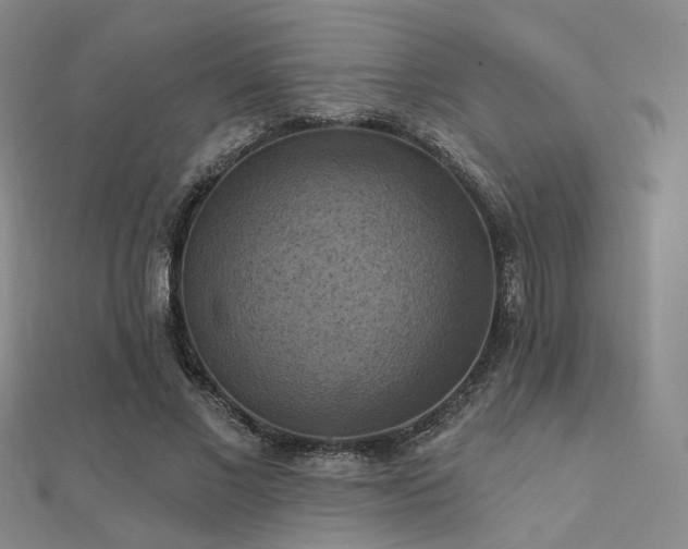 X0000112030685200908101339