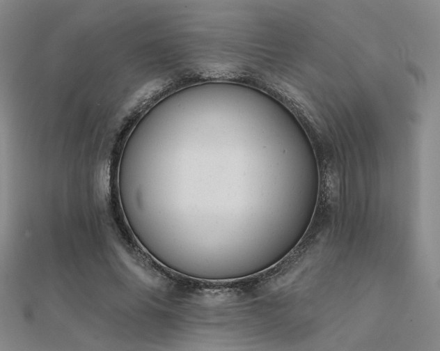 X0000112030686200908101339