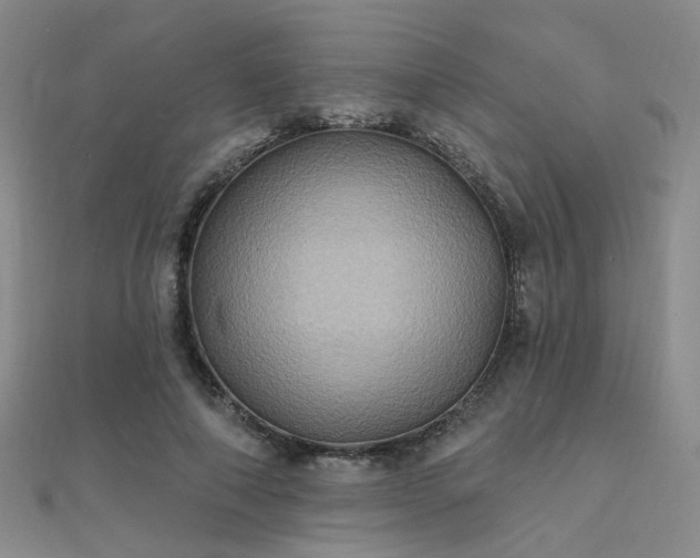 X0000112030690200908101339