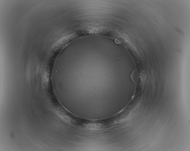 X0000112030691200908101339
