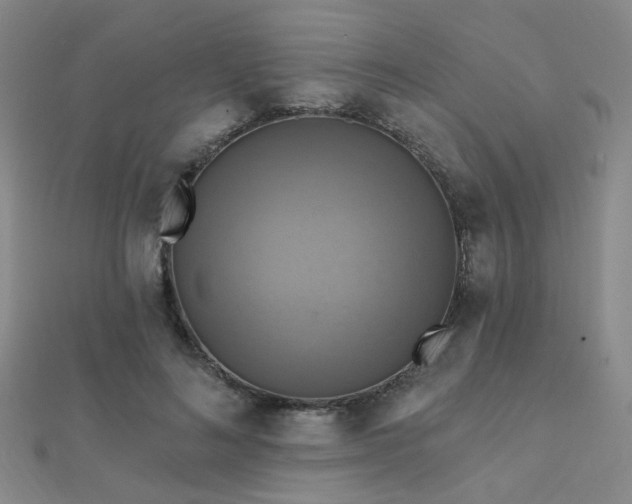 X0000112030692200908101339
