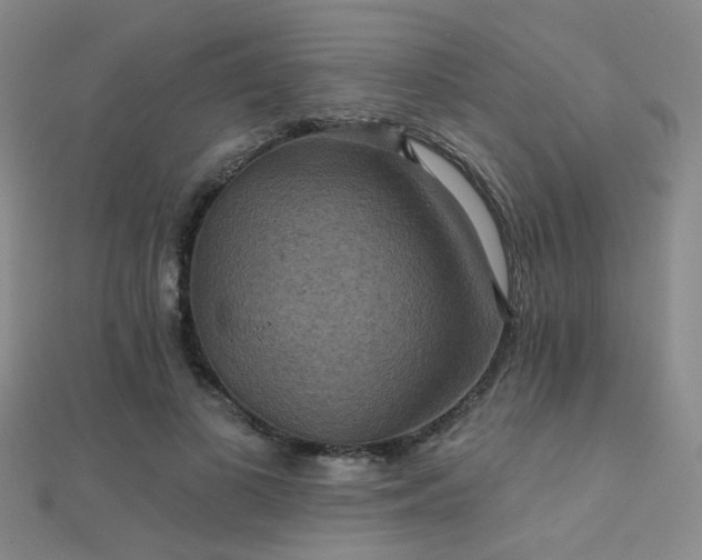 X0000112030693200908101339