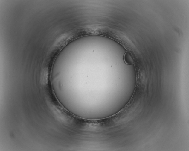 X0000112030694200908101339