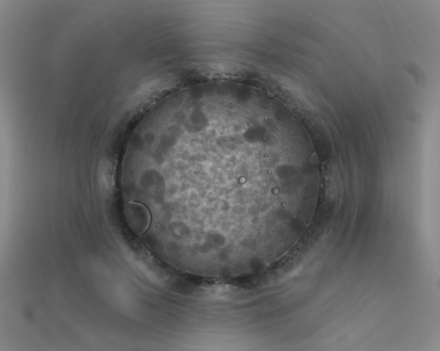 X0000112030695200908101339