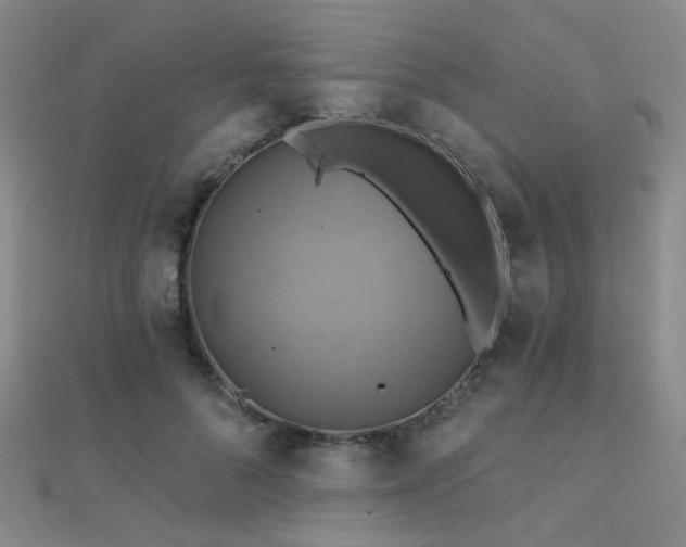 X0000112030696200908101339