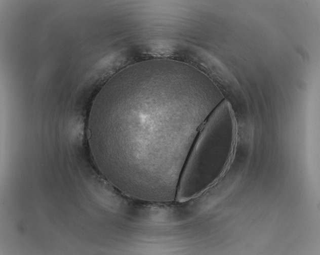 X0000112030697200908101339