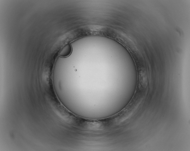 X0000112030698200908101339