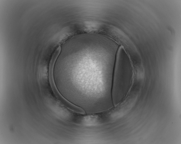 X0000112030700200908101339
