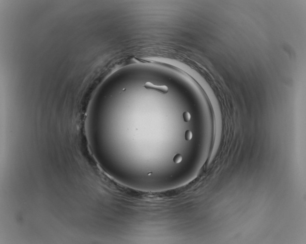 X0000112030701200908101339