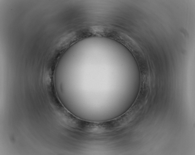 X0000112030702200908101339