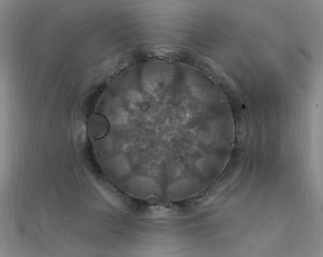 X0000112030703200908101339