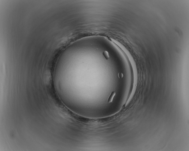 X0000112030704200908101339