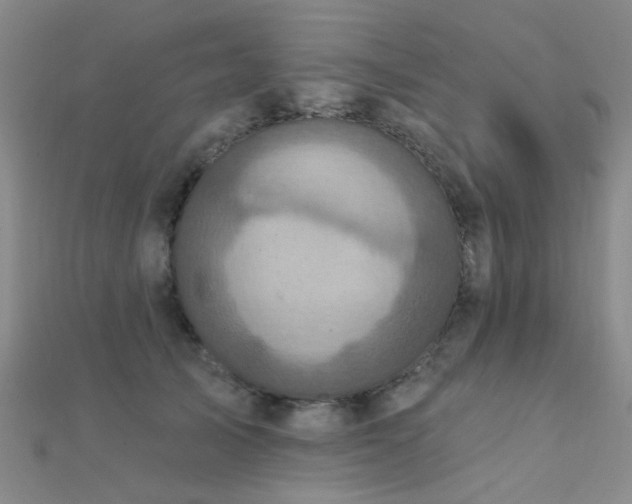 X0000112030705200908101339
