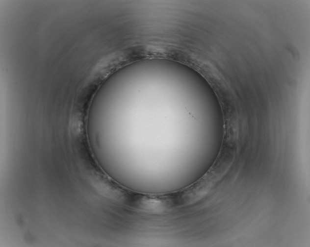 X0000112030706200908101339