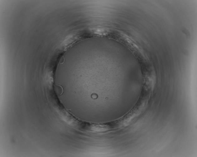 X0000112030707200908101339