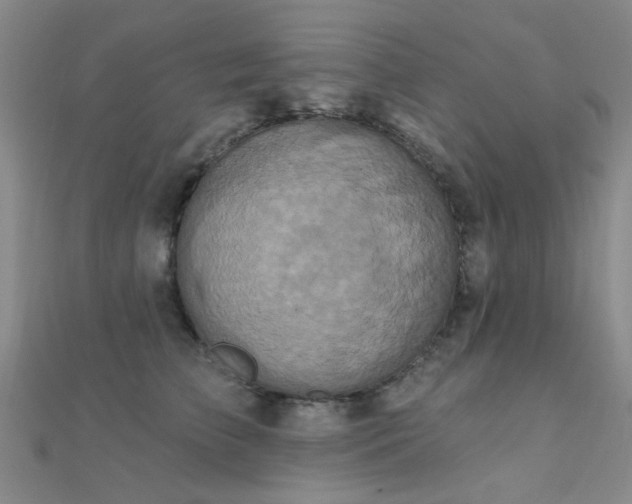 X0000112030709200908101339