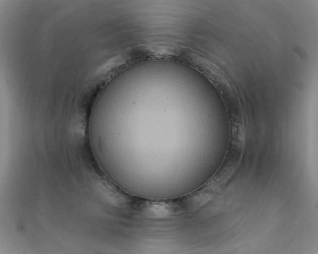 X0000112030710200908101339