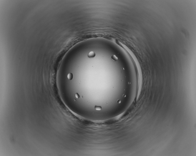 X0000112030712200908101339