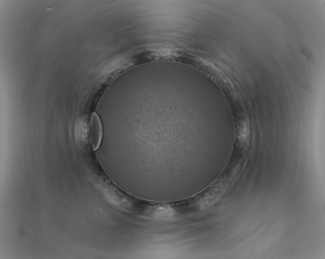 X0000112030715200908101339