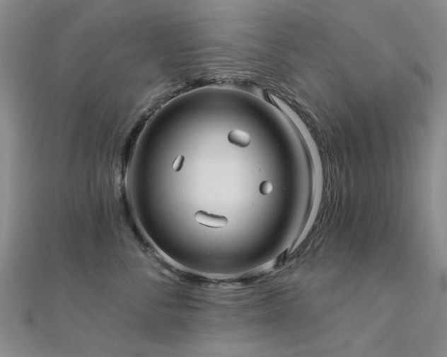 X0000112030716200908101339