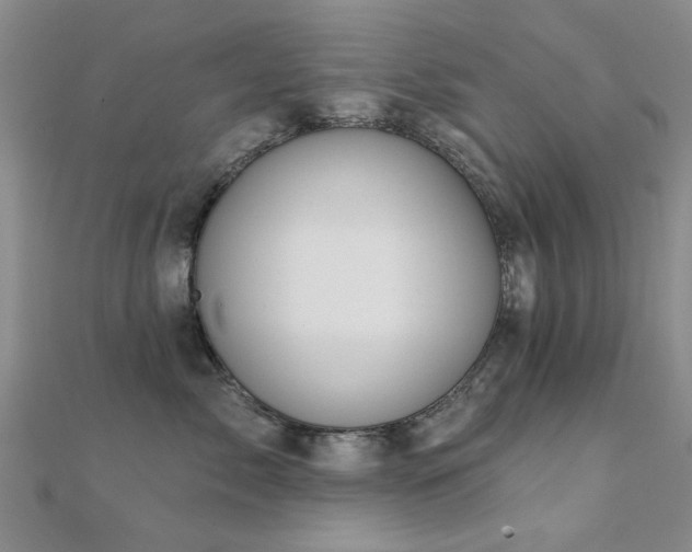 X0000112030717200908101339