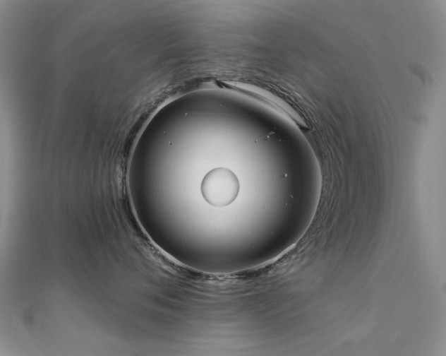 X0000112030720200908101339