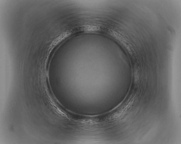 X0000112030721200908101338